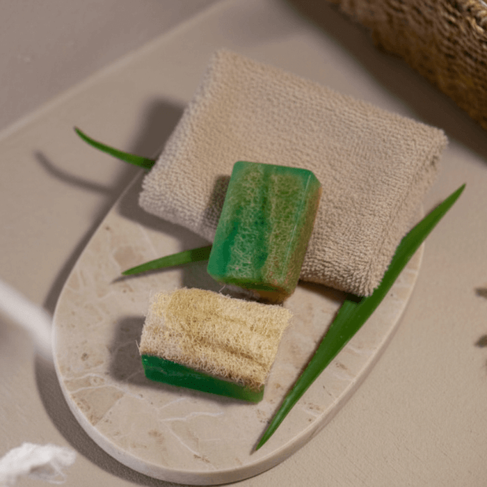 Luffa Seife mit Aloe Vera – Sanfte Pflege & Peeling