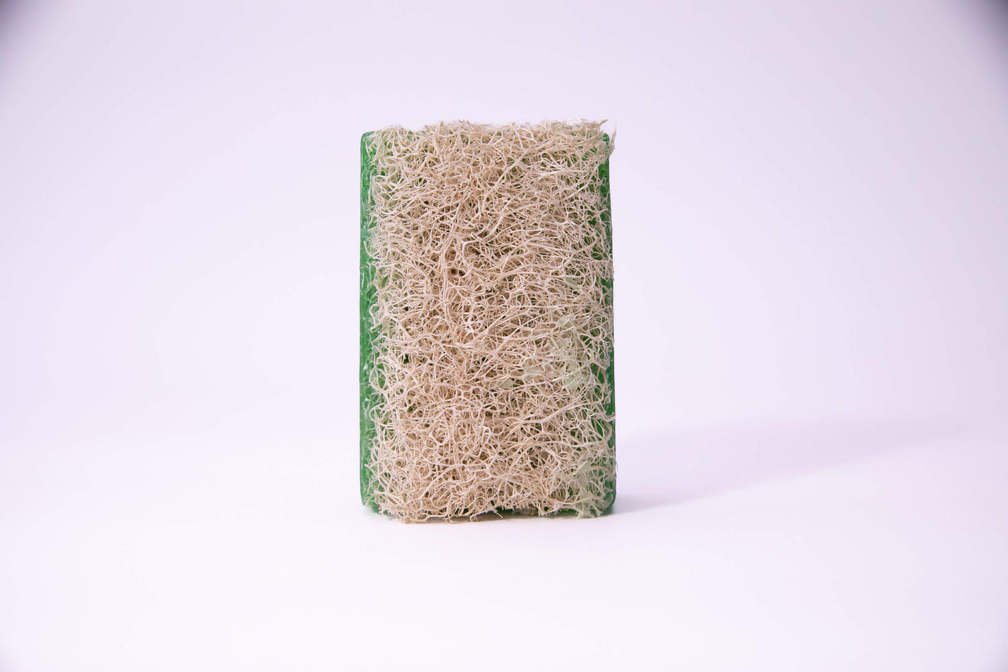 Aloe Vera Luffa Seife – Sanfte Pflege & Peeling in einem