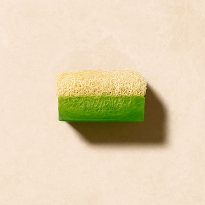 Luffa Seife Aloe Vera – Feuchtigkeit & Beruhigung für empfindliche Haut